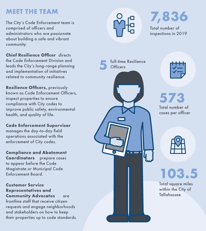 Meet the Team infographic